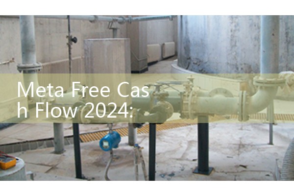 Meta Free Cash Flow 2024: Corporate Financial Allocation Assessments
